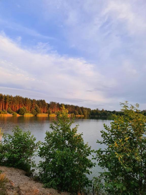 Agroturystyka U Siwego Rokitki  Eksteriør bilde